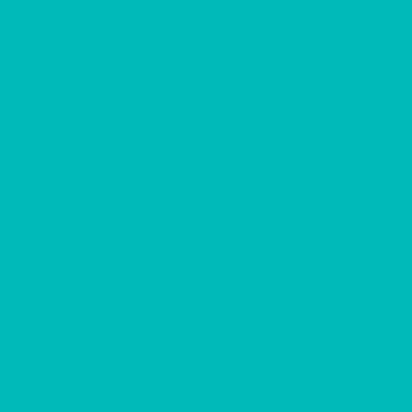 TRICOL. LISO AQUA - 100% ALGODÃO - FUNDO 4624