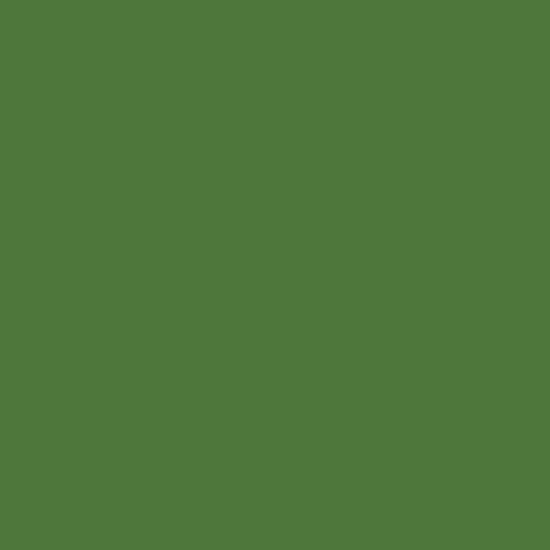 TRICOL. LINHA CRIATIVA LISO VERDE MUSGO - 100% ALGODÃO