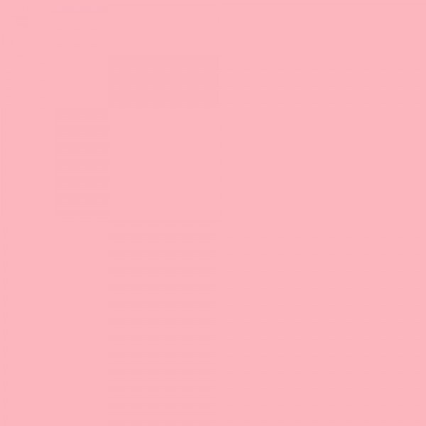 TRICOL. LISO NUDE - 100% ALGODÃO - fundo 2033