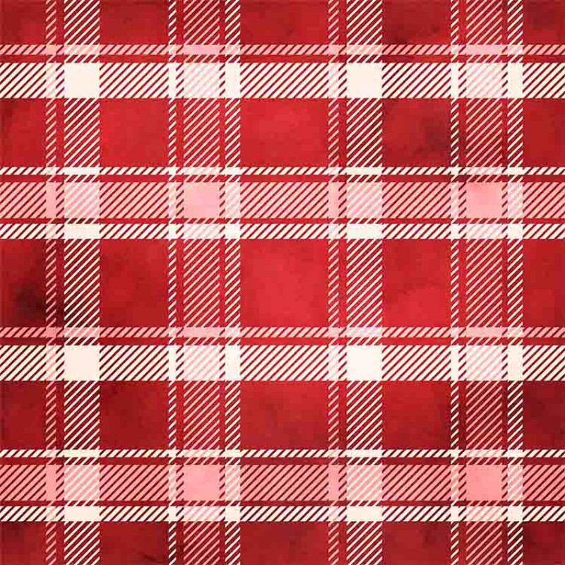 TRICOL. XADREZ BERRY 3 100% ALGODÃO - 92740/001D